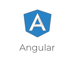 angular development